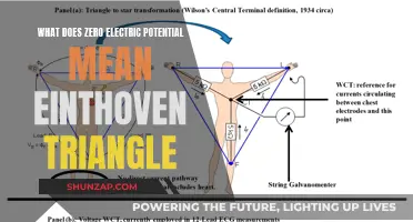 Electric Potential and the Eintoven Triangle: Understanding Zero Potential