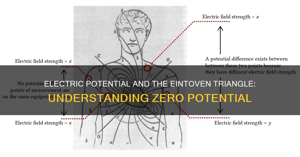 what does zero electric potential mean einthoven triangle