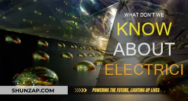 Unveiling Electricity's Unknowns: Exploring the Unseen