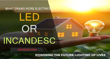 LED vs Incandescent: Battle of the Bulbs