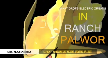 Where to Find Electric Organs in Ranch Palworld