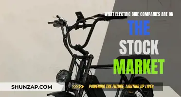 Electric Bike Companies: Stock Market Riders