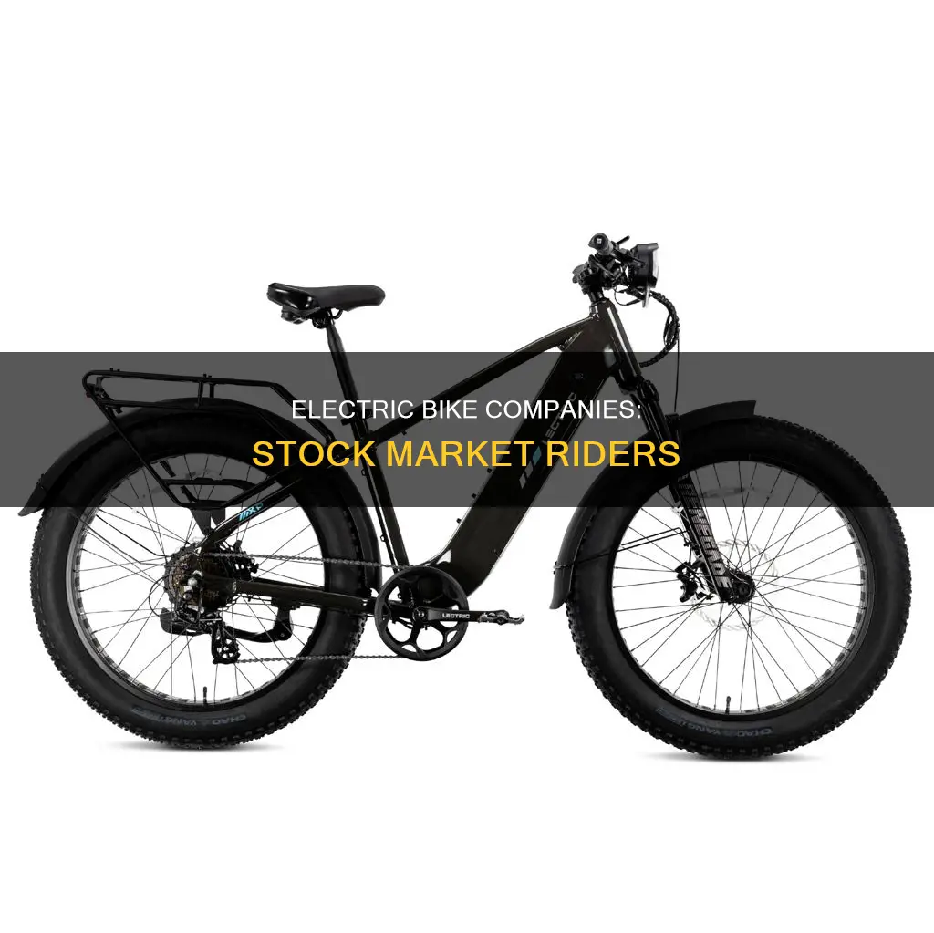 what electric bike companies are on the stock market