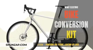 Best Electric Bike Conversion Kit Options for Your Ride