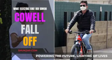 Simon Cowell's Electric Bike Fall: Exploring the Incident