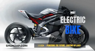 Electric Bike Buying Guide: Choosing the Right E-Bike