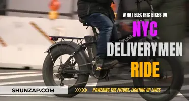 Electric Bike Models Preferred by NYC Delivery Riders