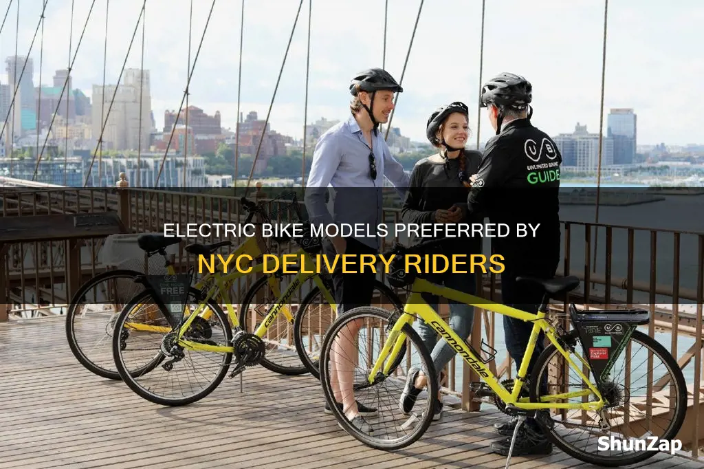 what electric bikes do nyc deliverymen ride