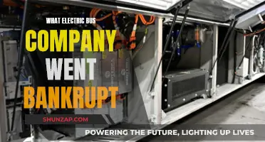 The Demise of an Electric Bus Company: Bankruptcy Blues