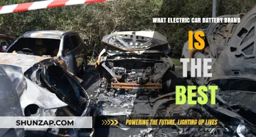Top Electric Car Battery Brands Compared: Which One Reigns Supreme?