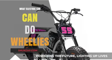 Electric Wheelie Wonders: Which EVs Can Defy Gravity?