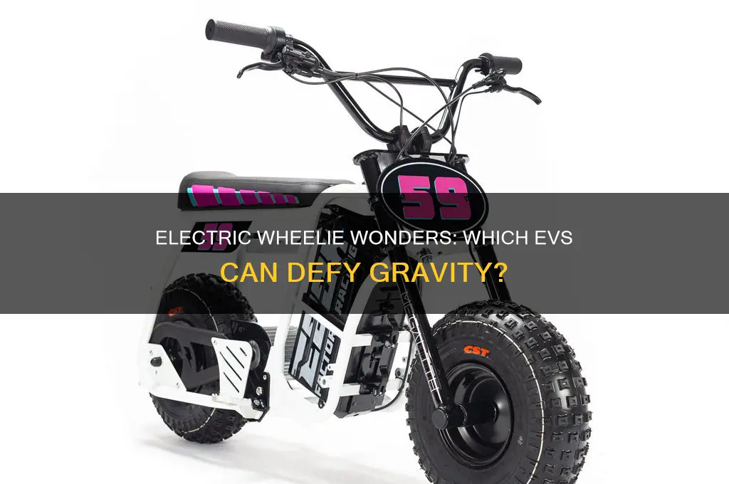 what electric car can do wheelies