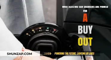 Top Electric Car Chargers Poised for Strategic Buyouts in 2023