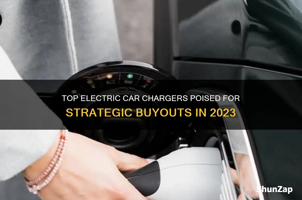 what electric car chargers are primed for a buy out