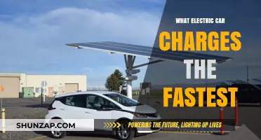 Top Electric Cars with the Fastest Charging Speeds Revealed