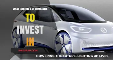 Top Electric Car Companies to Invest in for Future Growth