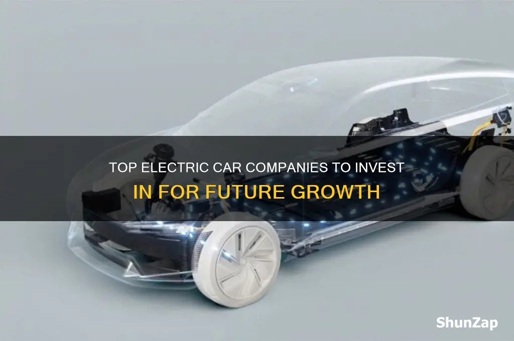 what electric car companies to invest in