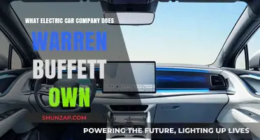 Warren Buffett's Electric Car Investment: Which Company Does He Own?