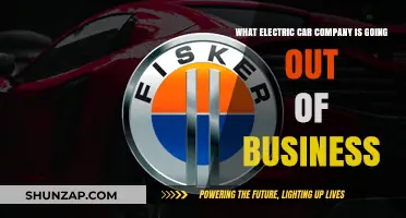 Which Electric Car Manufacturer Faces Bankruptcy and Closure Soon?