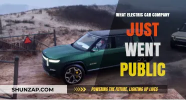 Which Electric Car Manufacturer Recently Launched Its IPO?