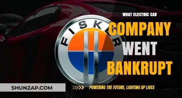Electric Car Company Bankruptcy: Lessons from a Failed EV Venture