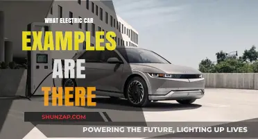 Top Electric Car Models: Eco-Friendly Options for Modern Drivers