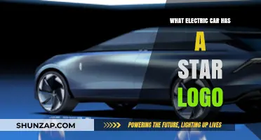 Which Electric Car Brand Features a Star Logo? Find Out Here