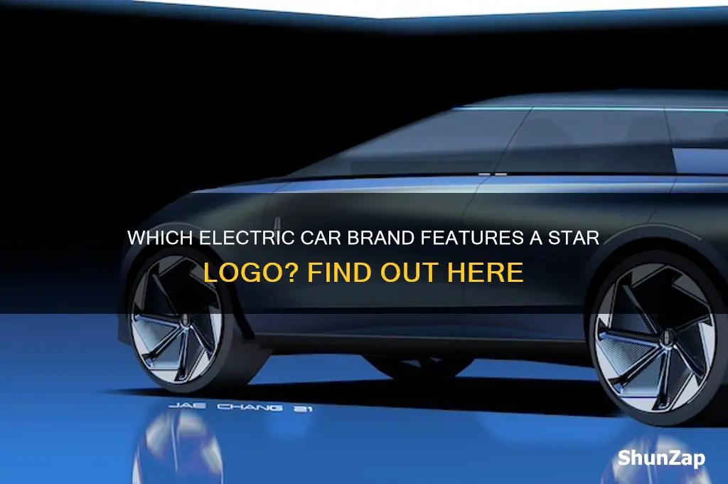 what electric car has a star logo