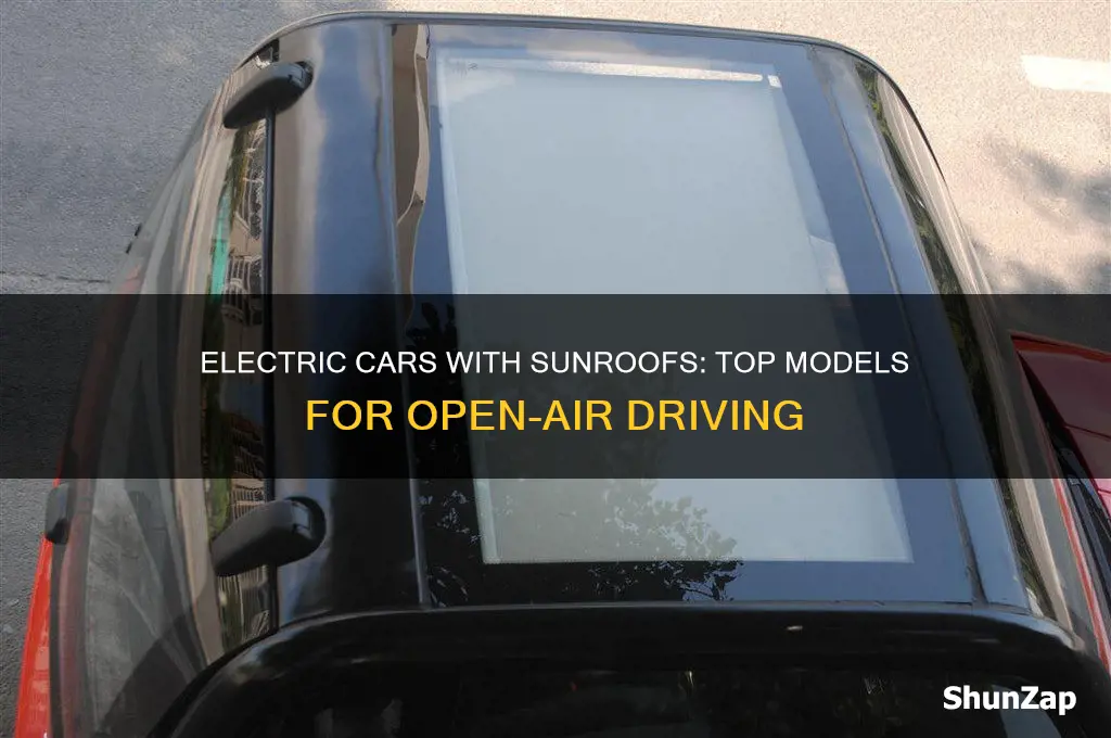 what electric car has a sunroof