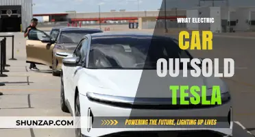 Surprising Leader: Which Electric Car Outpaced Tesla in Sales?