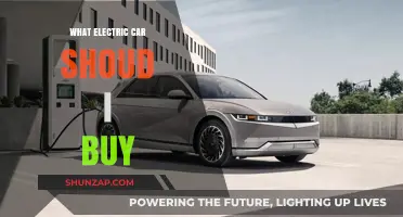 Choosing the Perfect Electric Car: A Comprehensive Buyer's Guide