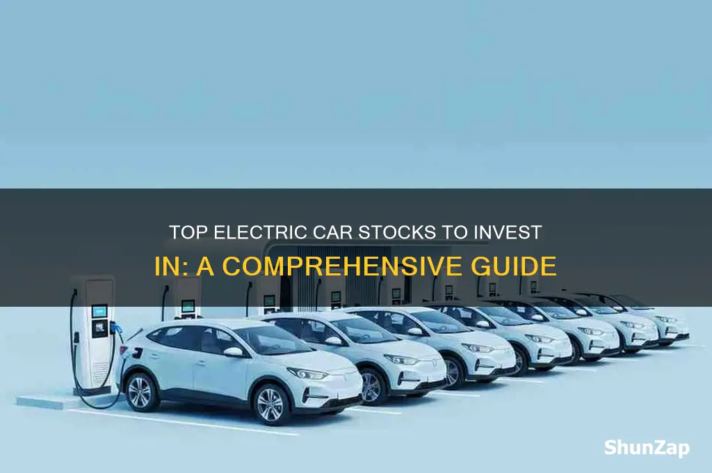 what electric car stock should i buy