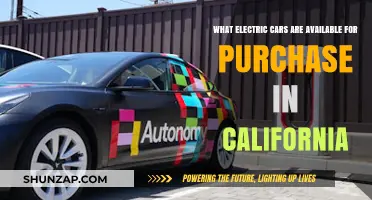 Explore California's Electric Car Options: Models Available for Purchase
