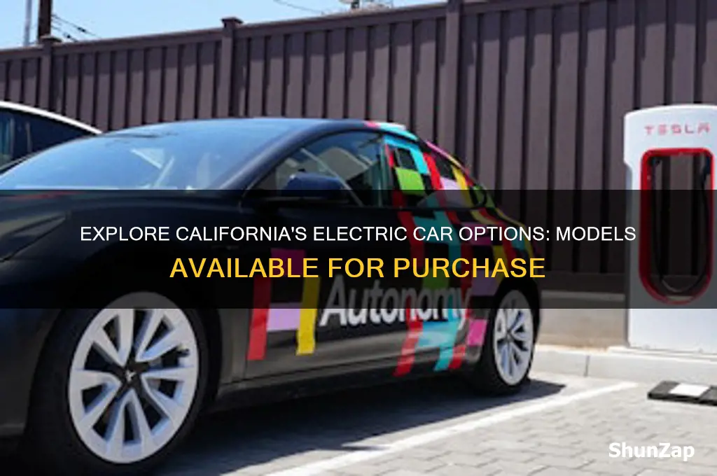 what electric cars are available for purchase in california