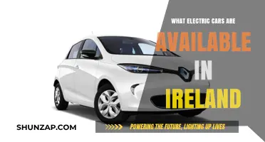 Explore Ireland's Electric Car Options: Models, Prices, and Availability