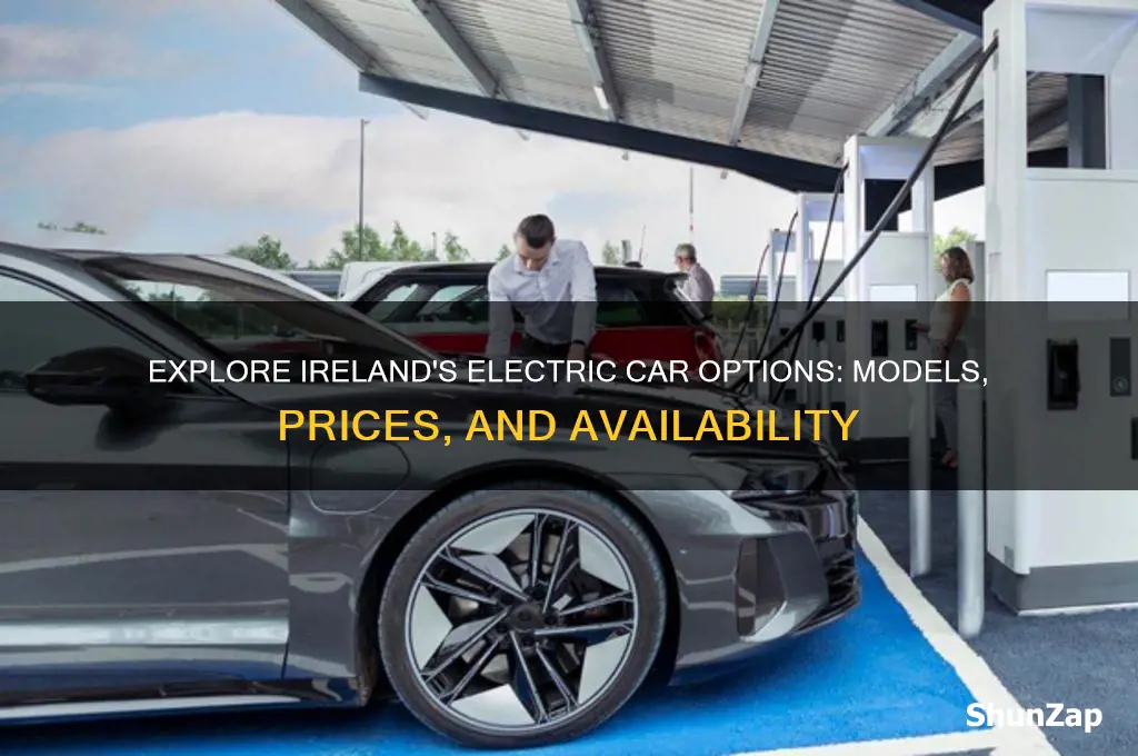 what electric cars are available in ireland