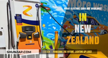 Explore New Zealand's Electric Car Options: Models, Features, and Availability