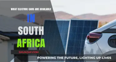 Explore South Africa's Growing Electric Car Market: Available Models & Options