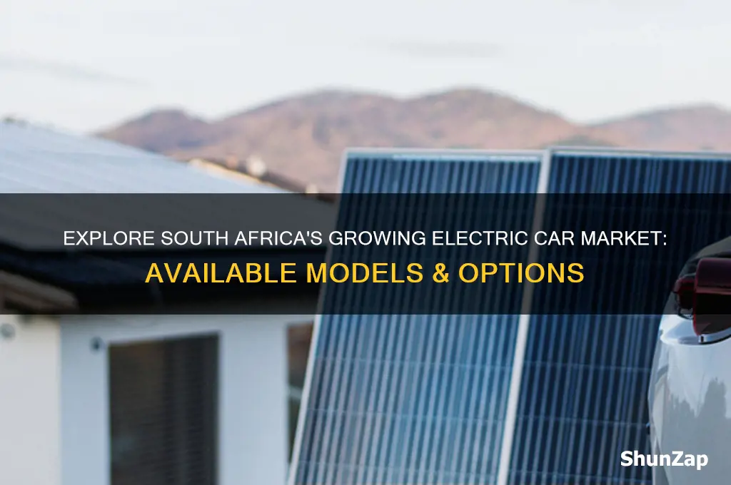 what electric cars are available in south africa