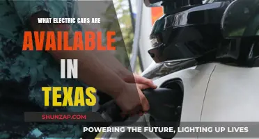 Explore Texas: Top Electric Car Options Available in the Lone Star State