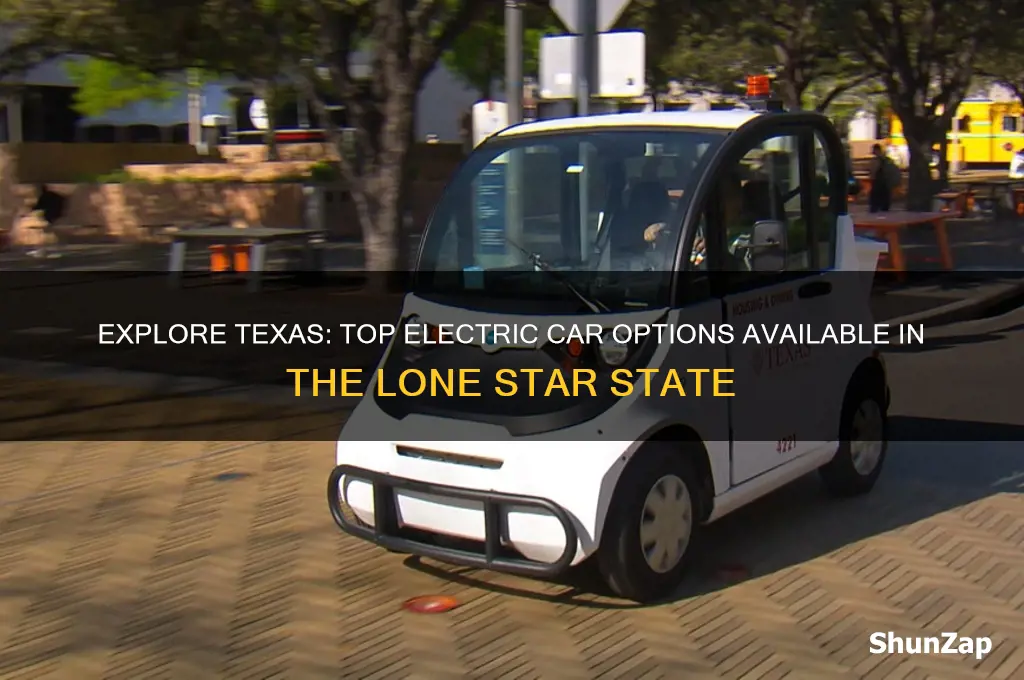 what electric cars are available in texas