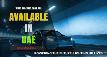 Explore the Best Electric Cars Available in UAE Today