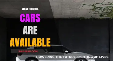 Explore the Latest Electric Cars on the Market Today