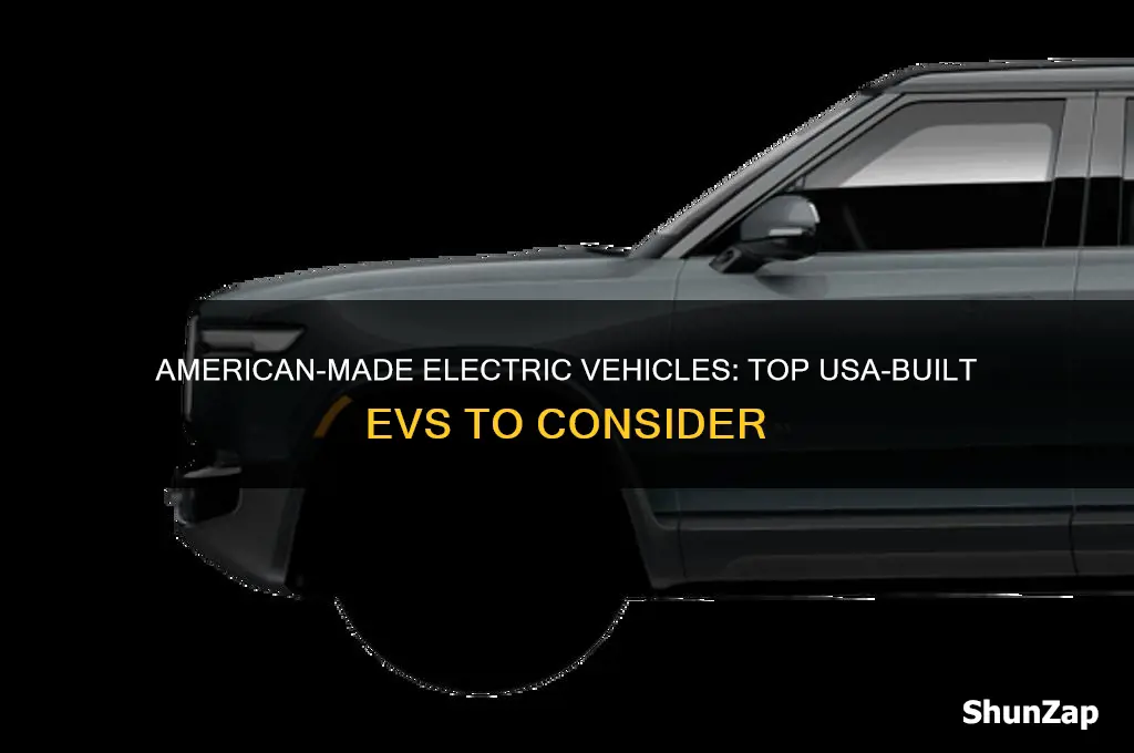 what electric cars are built in usa