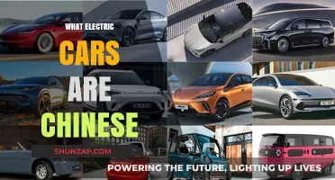 Exploring China's Electric Car Brands: A Comprehensive Guide