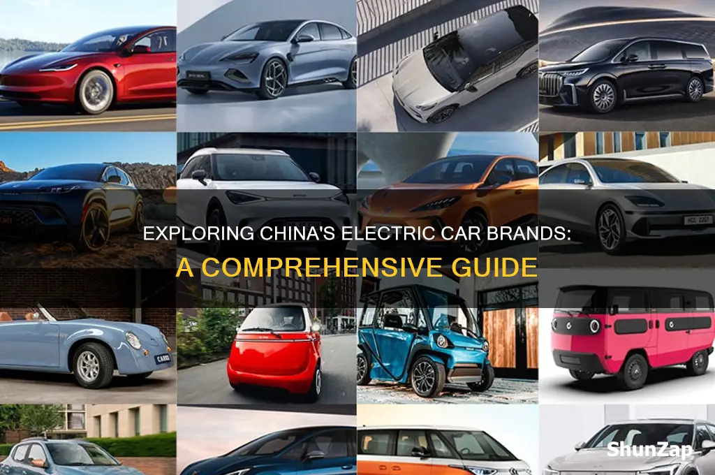 what electric cars are chinese