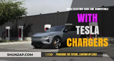 Which Electric Vehicles Can Use Tesla Charging Stations?