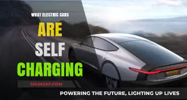 Self-Charging Electric Cars: How They Work and Top Models to Consider