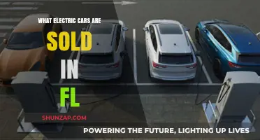 Electric Cars Available in Florida: Your Comprehensive Guide to EV Options