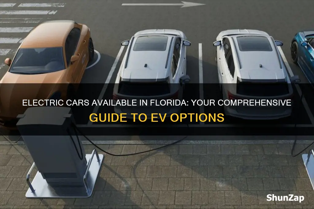 what electric cars are sold in fl